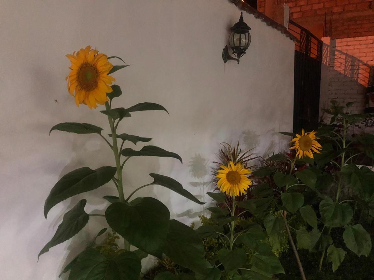 Palmas Casa de hóspedes Vilcabamba