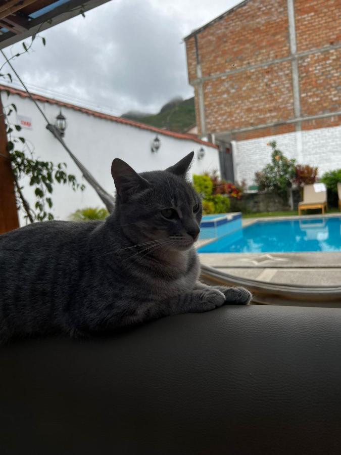 Palmas Casa de hóspedes 3*